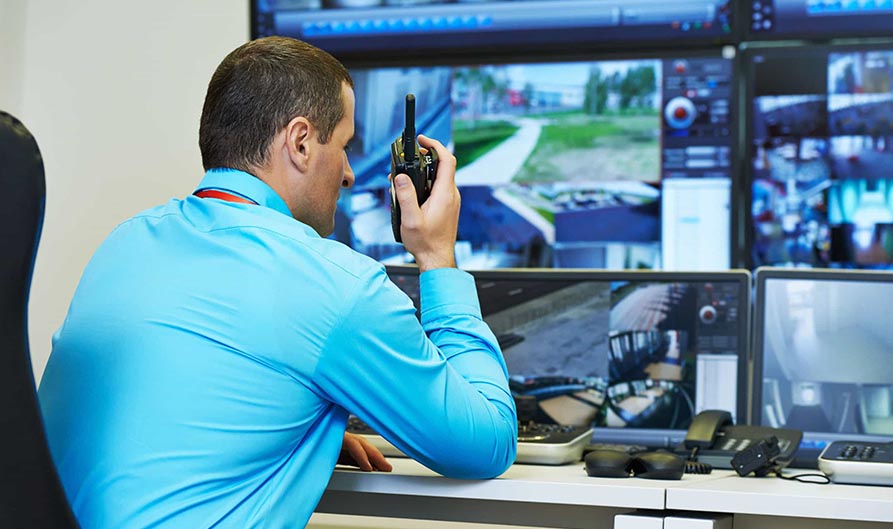 Monitoreo y Prevención Parque Cousiño