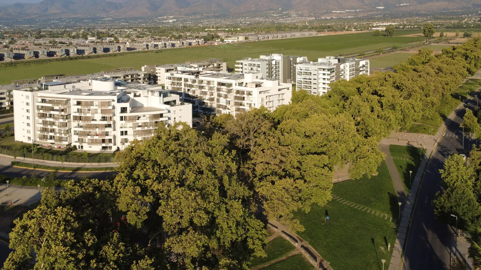 Programa de Referidos