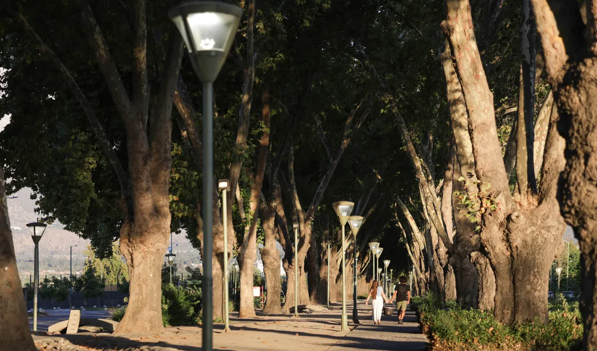 Parque y áreas verdes de Parque Cousiño Macul