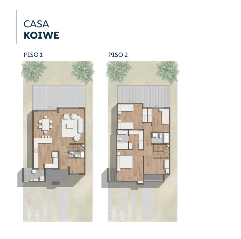 Planta planta-koiwe-web