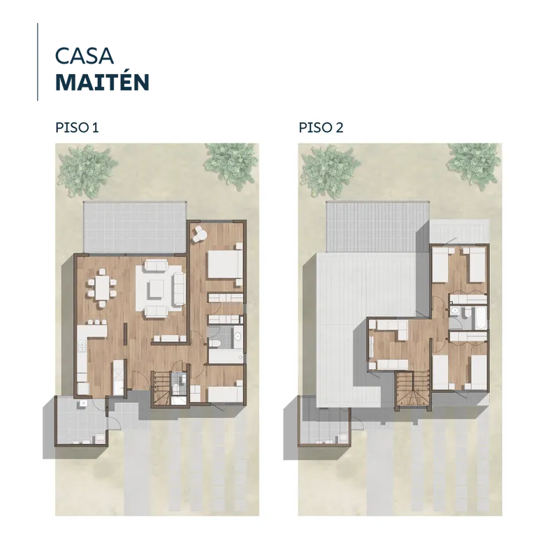 Planta planta-maiten-web